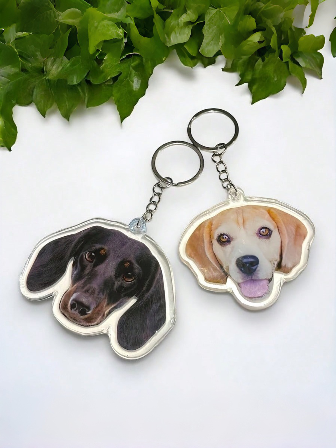 Custom Pet Acrylic Portrait Keychain